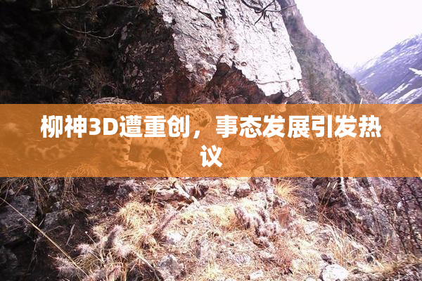 柳神3D遭重创，事态发展引发热议