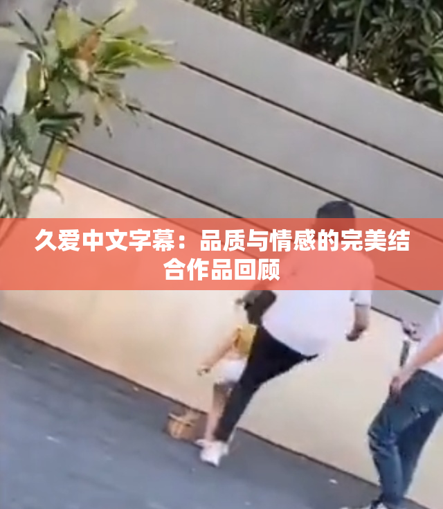 久爱中文字幕：品质与情感的完美结合作品回顾