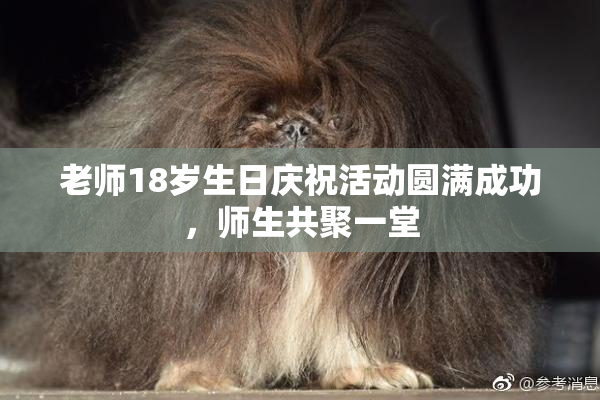 老师18岁生日庆祝活动圆满成功，师生共聚一堂
