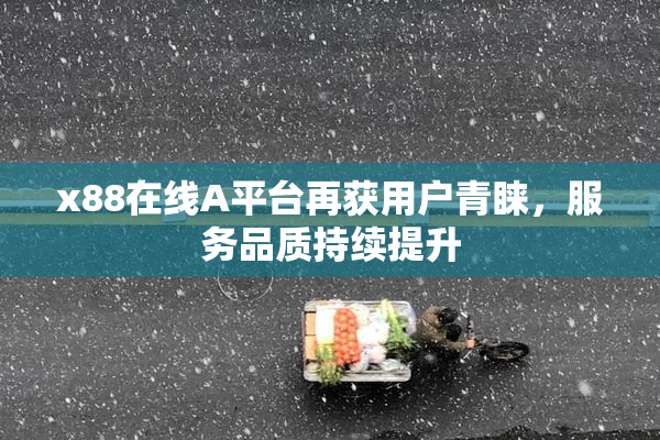 x88在线A平台再获用户青睐，服务品质持续提升