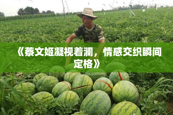 《蔡文姬凝视着澜，情感交织瞬间定格》