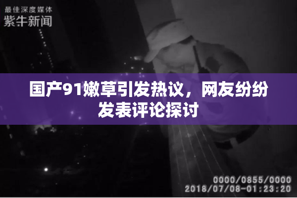 国产91嫩草引发热议，网友纷纷发表评论探讨