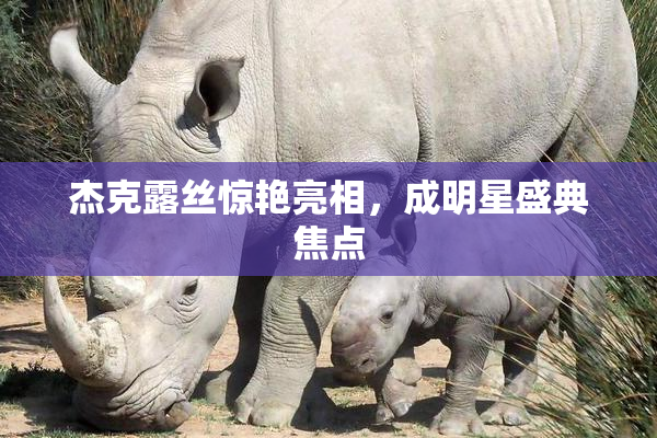 杰克露丝惊艳亮相，成明星盛典焦点