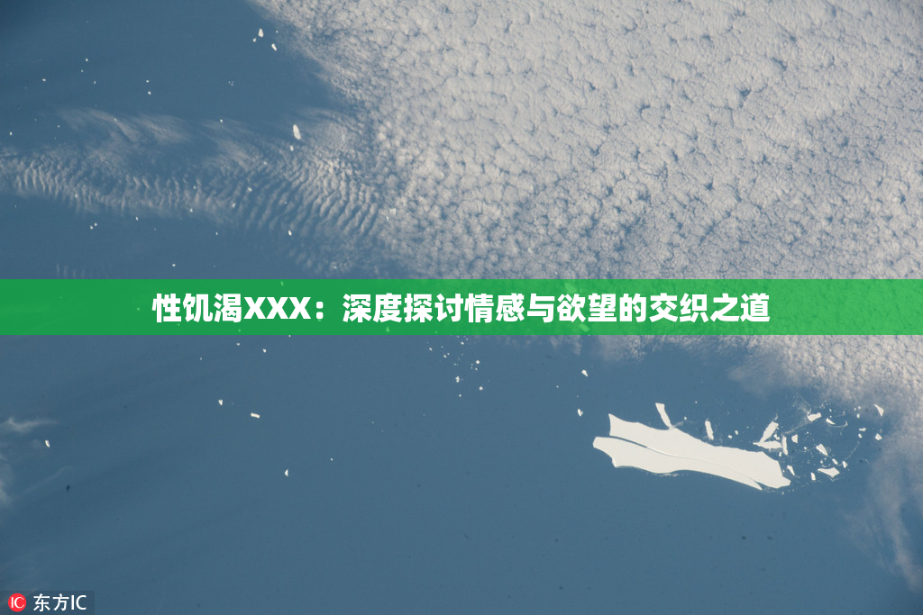 性饥渴XXX：深度探讨情感与欲望的交织之道