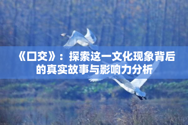 《囗交》：探索这一文化现象背后的真实故事与影响力分析