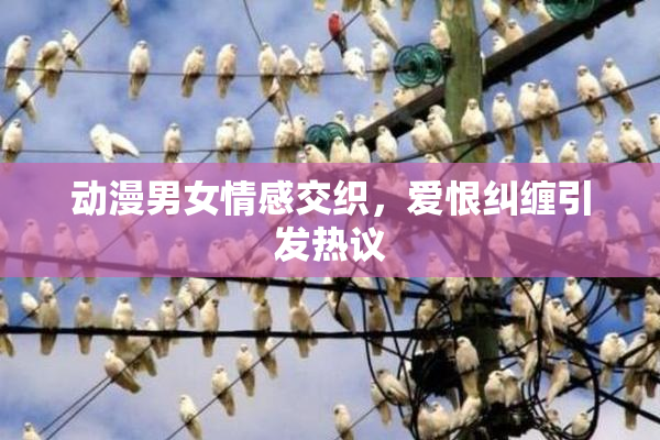 动漫男女情感交织，爱恨纠缠引发热议