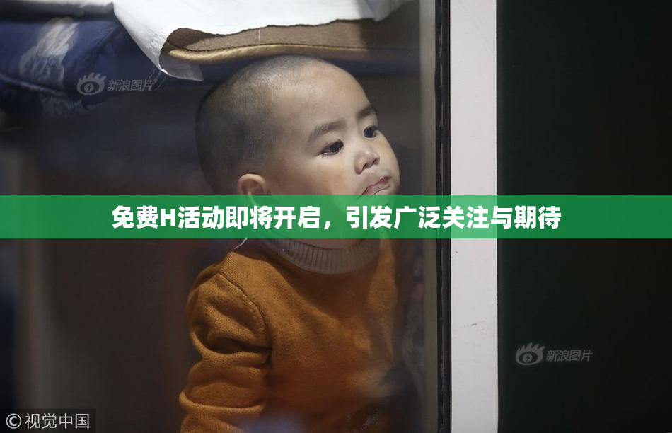 免费H活动即将开启，引发广泛关注与期待