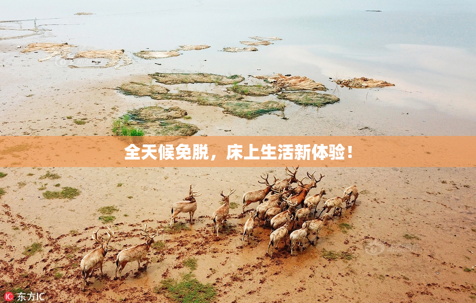 全天候免脱，床上生活新体验！