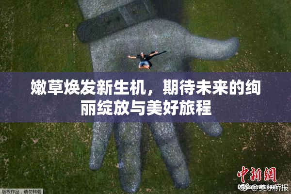 嫩草焕发新生机，期待未来的绚丽绽放与美好旅程