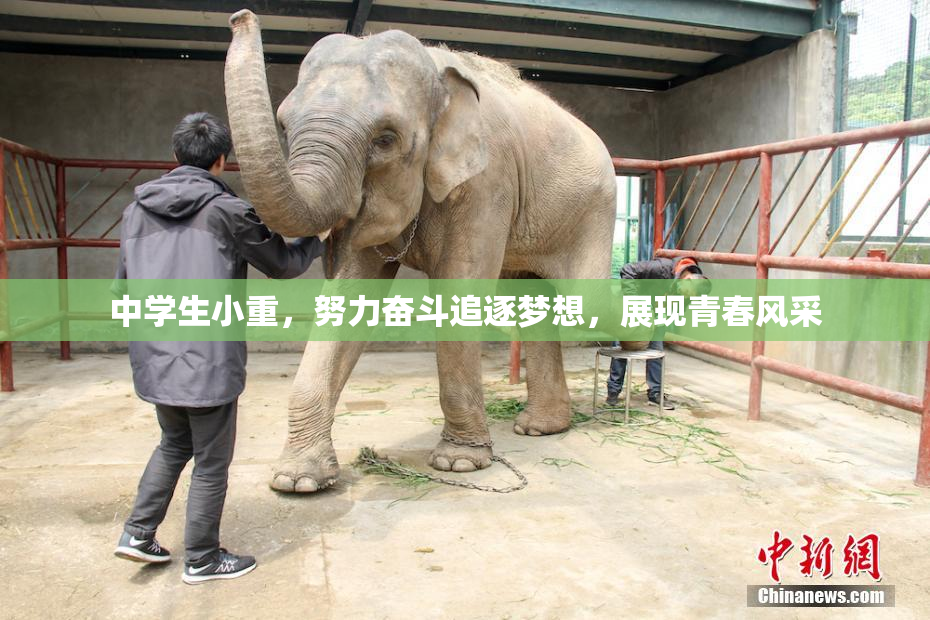 中学生小重，努力奋斗追逐梦想，展现青春风采