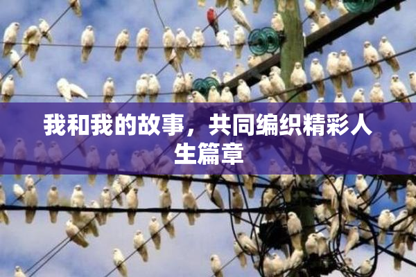 我和我的故事，共同编织精彩人生篇章