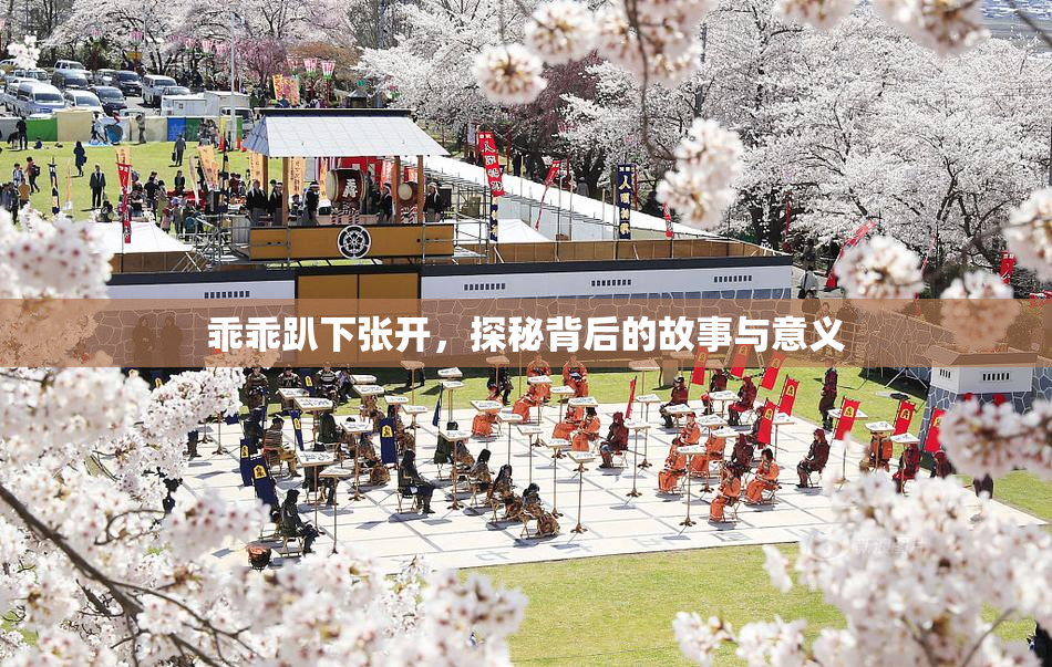 乖乖趴下张开，探秘背后的故事与意义
