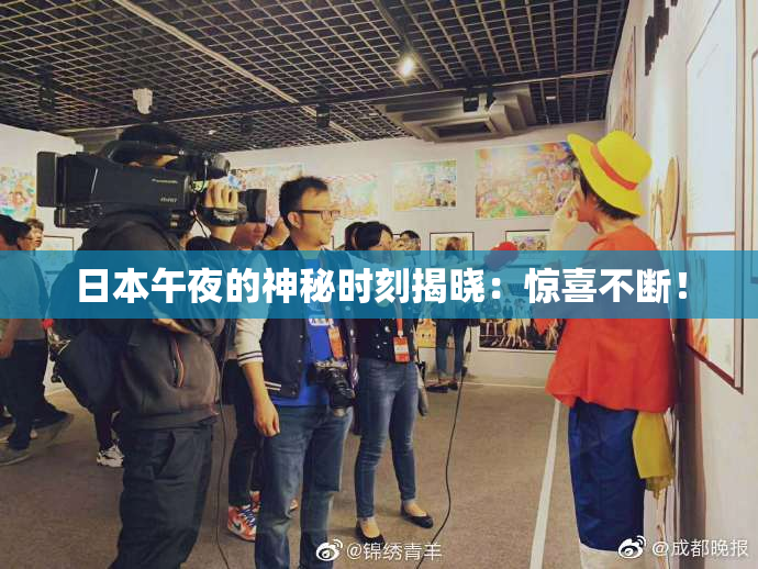 日本午夜的神秘时刻揭晓：惊喜不断！