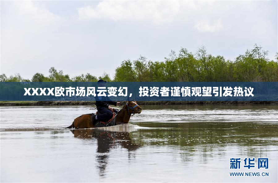 XXXX欧市场风云变幻，投资者谨慎观望引发热议