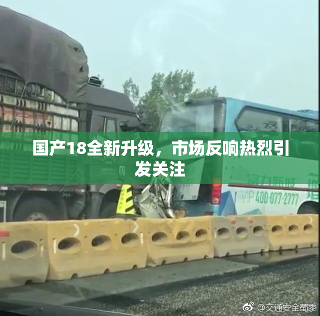 国产18全新升级，市场反响热烈引发关注
