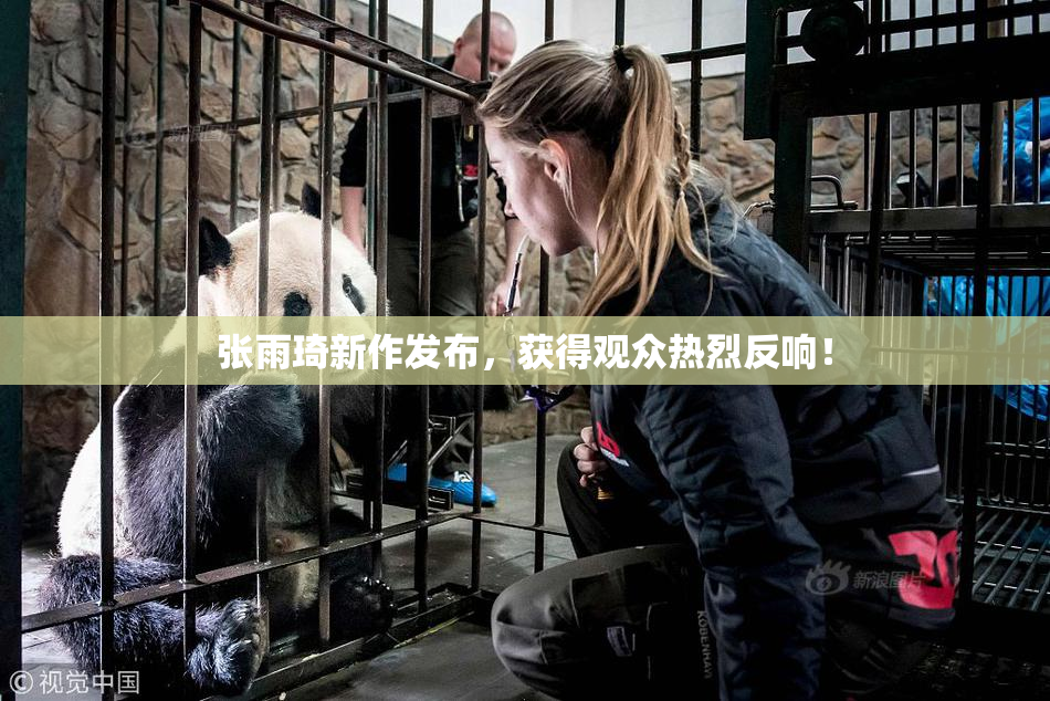 张雨琦新作发布，获得观众热烈反响！