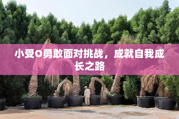 小受O勇敢面对挑战，成就自我成长之路