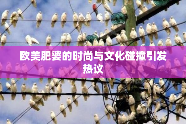 欧美肥婆的时尚与文化碰撞引发热议
