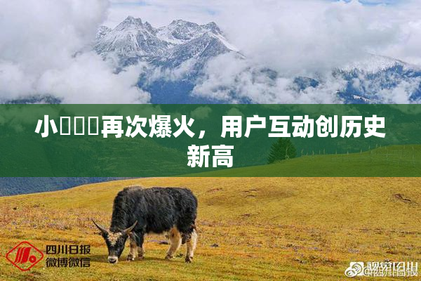 小藍視頻再次爆火，用户互动创历史新高