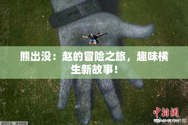 熊出没：赵的冒险之旅，趣味横生新故事！