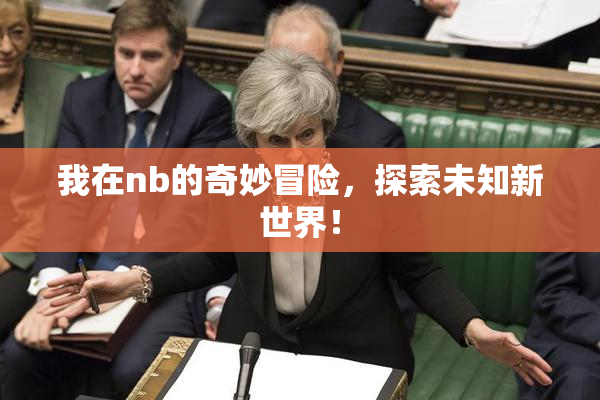 我在nb的奇妙冒险，探索未知新世界！