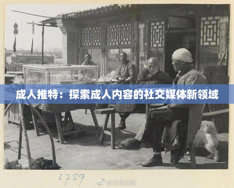 成人推特：探索成人内容的社交媒体新领域