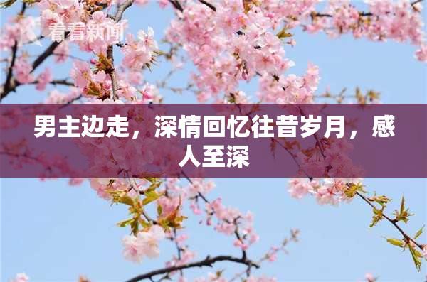 男主边走，深情回忆往昔岁月，感人至深
