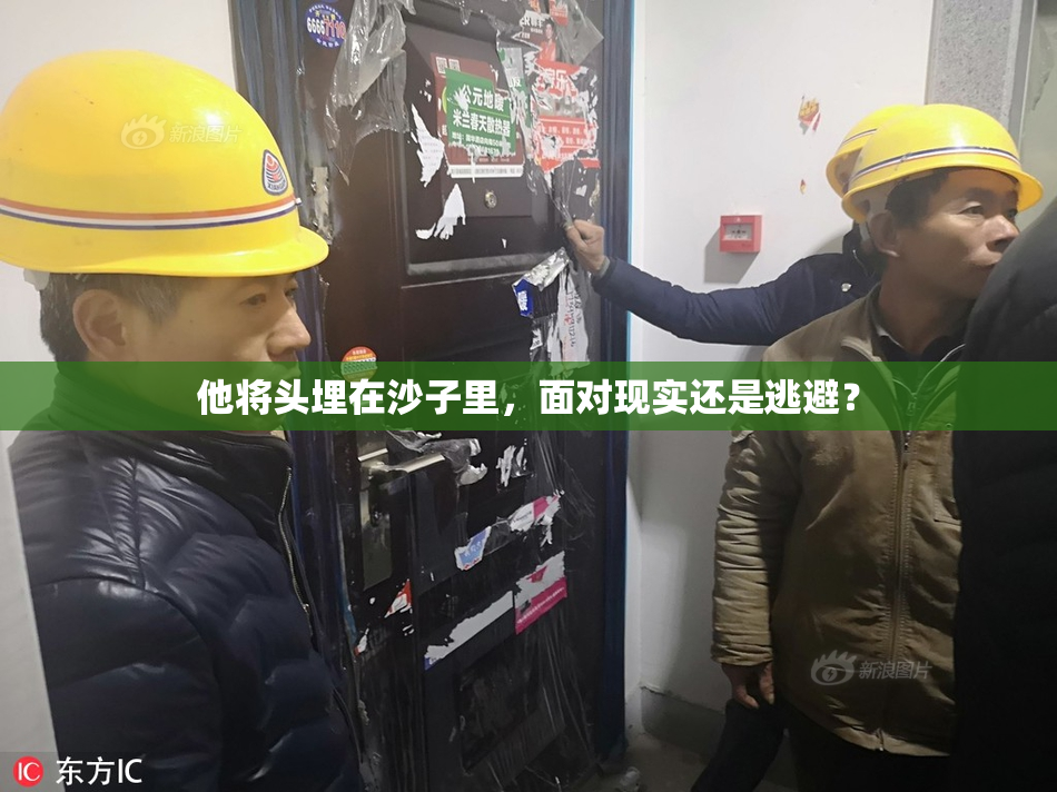 他将头埋在沙子里，面对现实还是逃避？