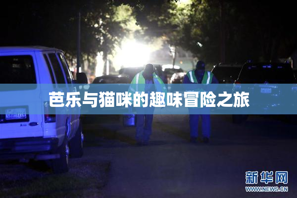 芭乐与猫咪的趣味冒险之旅