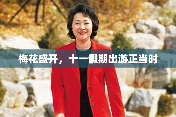梅花盛开，十一假期出游正当时