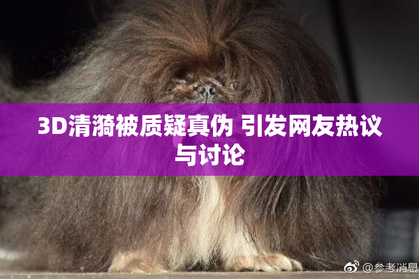 3D清漪被质疑真伪 引发网友热议与讨论