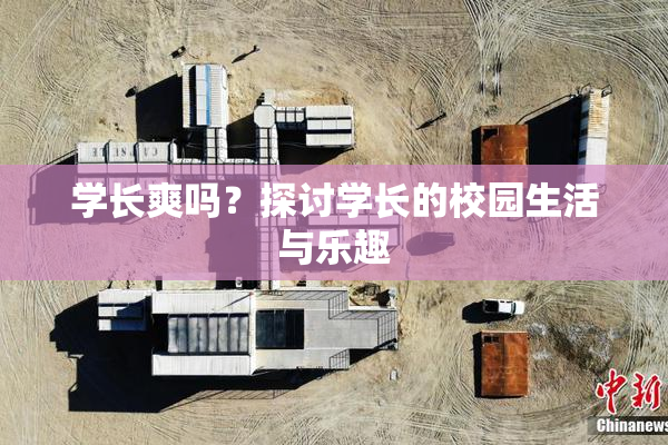 学长爽吗？探讨学长的校园生活与乐趣