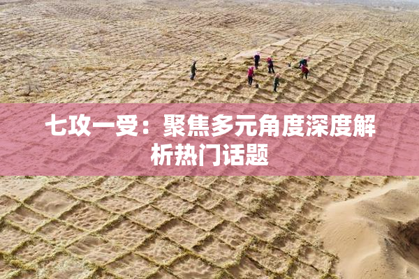 七攻一受：聚焦多元角度深度解析热门话题