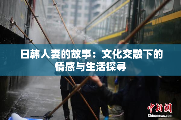 日韩人妻的故事：文化交融下的情感与生活探寻