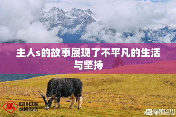 主人s的故事展现了不平凡的生活与坚持