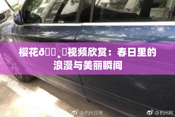 樱花🌸‌视频欣赏：春日里的浪漫与美丽瞬间
