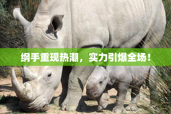 纲手重现热潮，实力引爆全场！