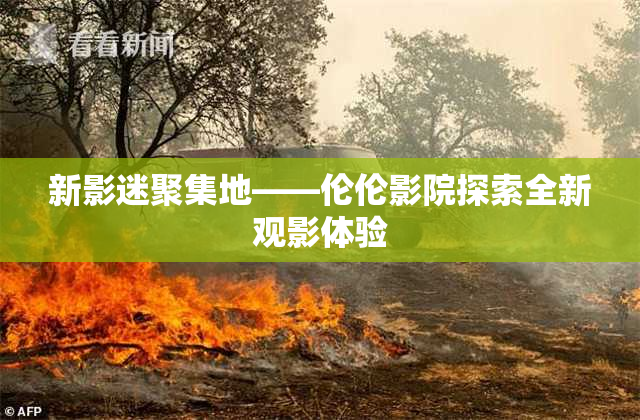 新影迷聚集地——伦伦影院探索全新观影体验