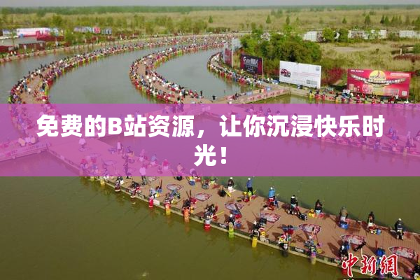 免费的B站资源，让你沉浸快乐时光！