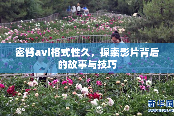 密臂avi格式性久，探索影片背后的故事与技巧