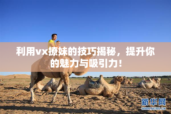 利用vx撩妹的技巧揭秘，提升你的魅力与吸引力！