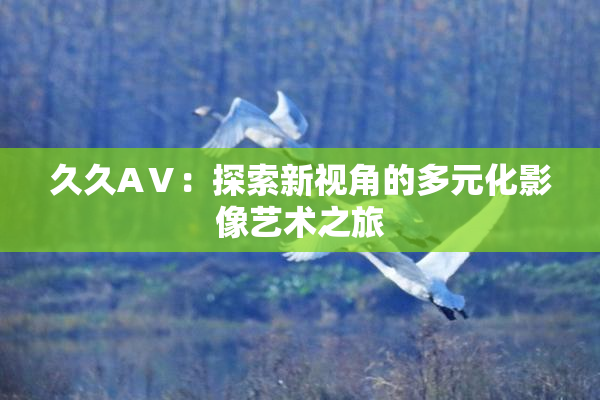 久久AⅤ：探索新视角的多元化影像艺术之旅