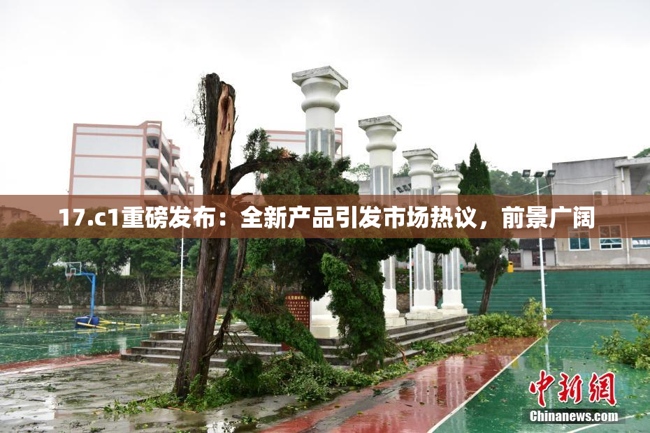 17.c1重磅发布：全新产品引发市场热议，前景广阔