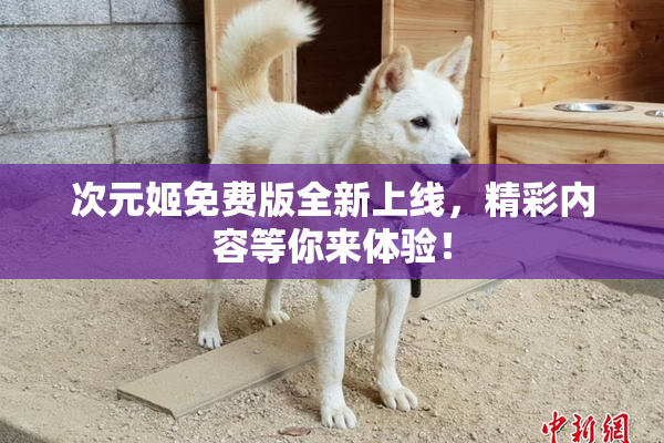 次元姬免费版全新上线，精彩内容等你来体验！