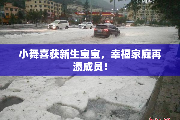 小舞喜获新生宝宝，幸福家庭再添成员！