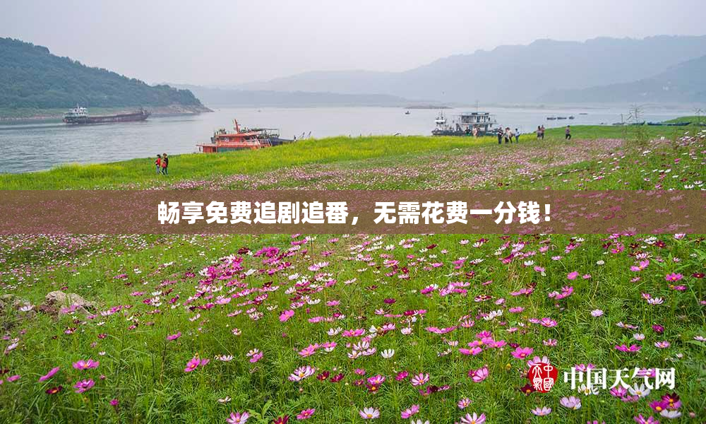 畅享免费追剧追番，无需花费一分钱！