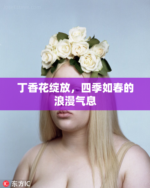 丁香花绽放，四季如春的浪漫气息