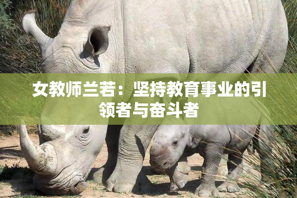 女教师兰若：坚持教育事业的引领者与奋斗者