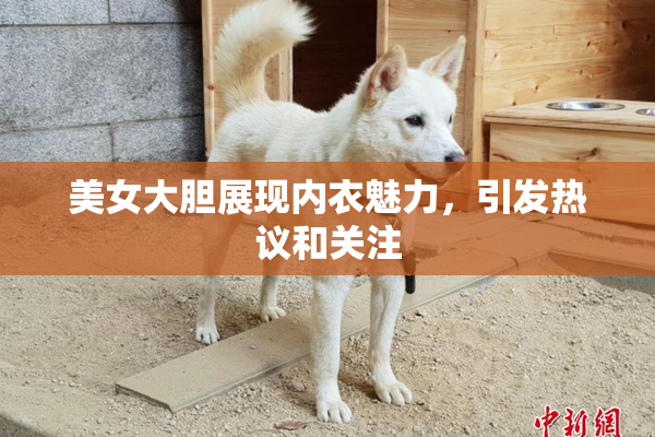 美女大胆展现内衣魅力，引发热议和关注