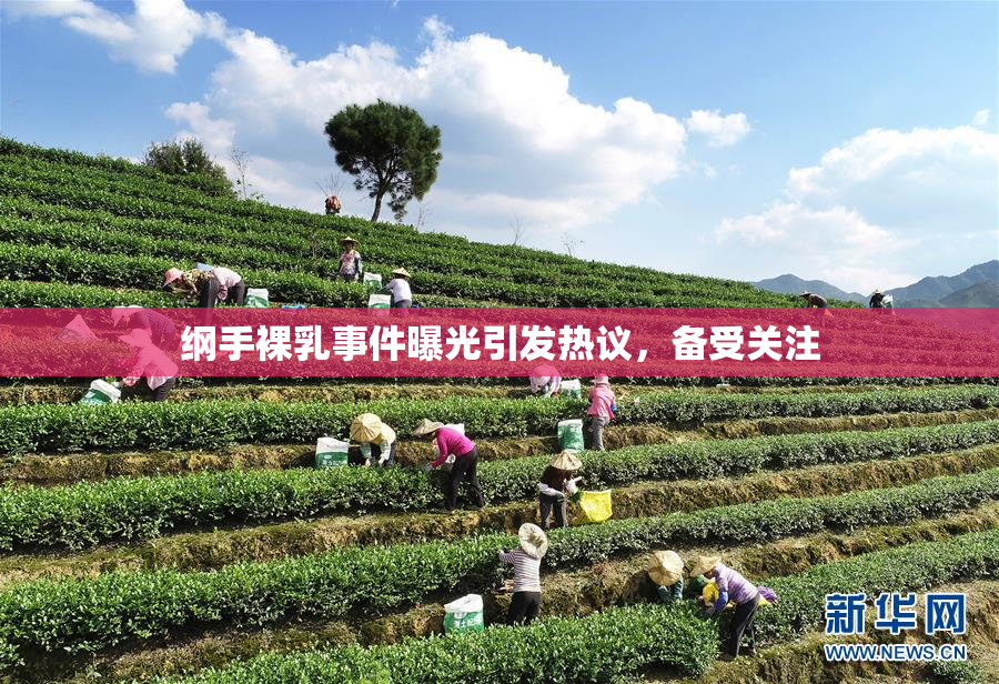 纲手裸乳事件曝光引发热议，备受关注
